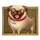 Pug