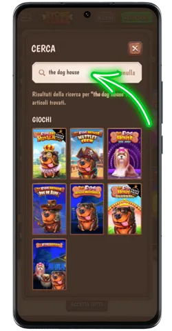 Localizzazione Gioco