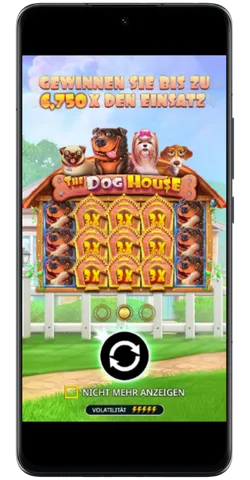 betting panel setup