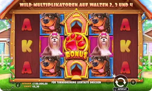 The Dog House Erfahrung